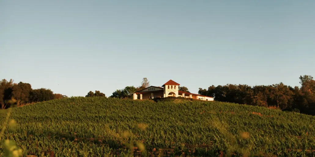 david girard vineyards wedding venue