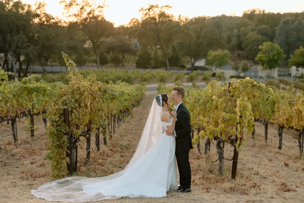 camilla + andrew david girard vineyards wedding camilla + andrew david girard vineyards wedding