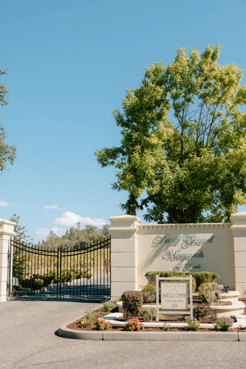 camilla + andrew david girard vineyards wedding