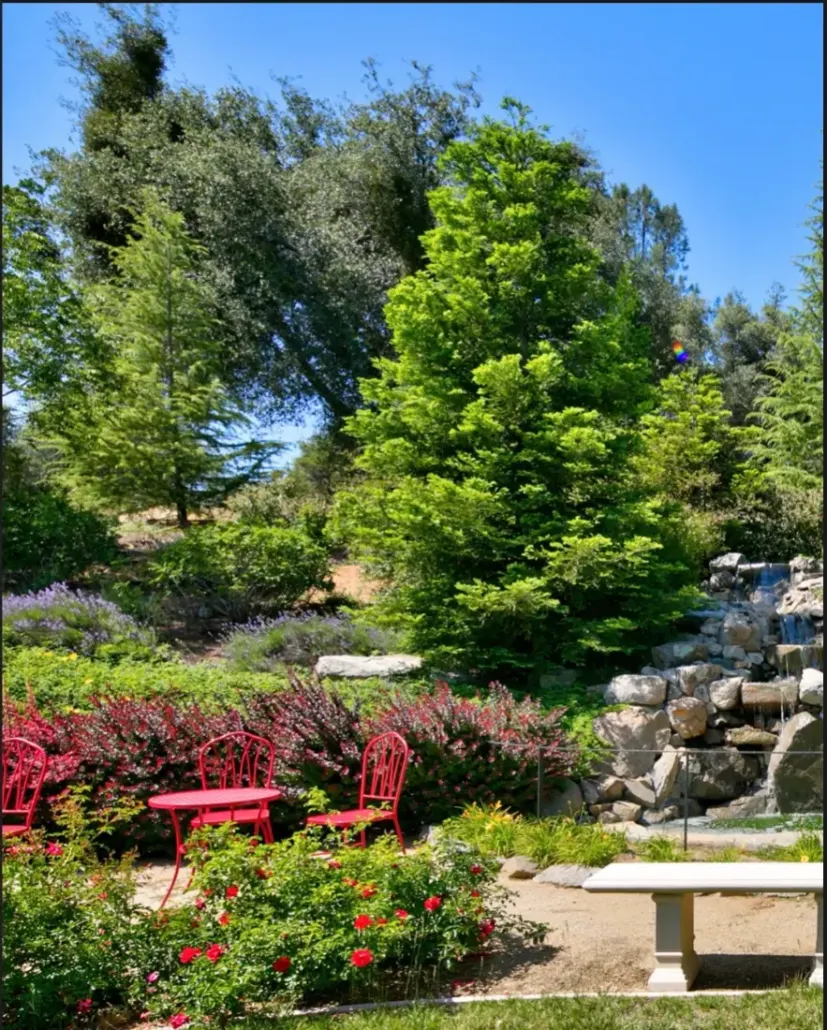 the waterfall terrace