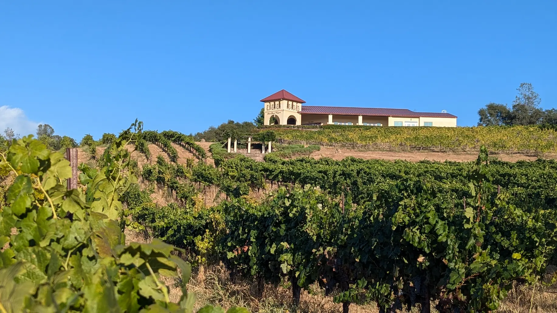 David Girard Vineyards photo